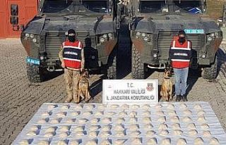Hakkari’de 48 kilo eroin ele geçirildi