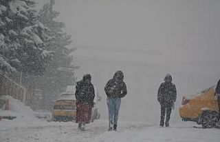Hakkari’de 66 yerleşim yerinin yolu ulaşıma kapandı