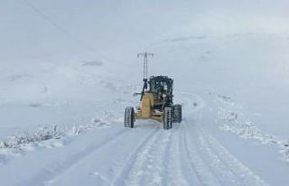 Hakkari’de kapalı yollar ulaşıma açıldı