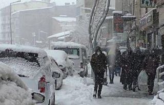 Hakkari’de onlarca köy yolu yeniden ulaşıma açıldı
