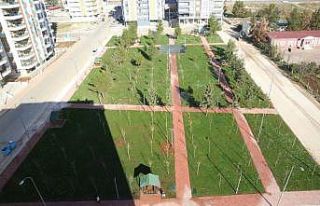 Haliliye’de yeşil alan 99 dönüm arttı