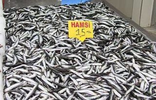 Hamsi yasağına ’buzhane’ çözümü
