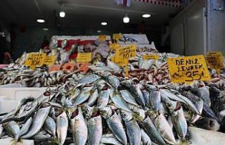 Hamsinin fiyatı 25 TL’den 15 TL’ye düştü