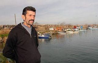 Hamsinin geleceği tehlikede