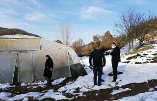 Hasar gören seralar yerinde incelendi