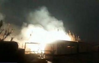 Hatay’da kopan elektrik telleri kamışlık alanda...