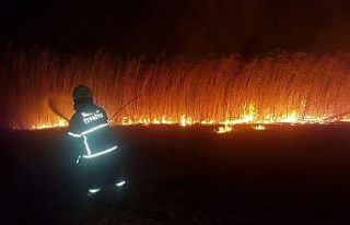 Hatay’da sazlık yangını