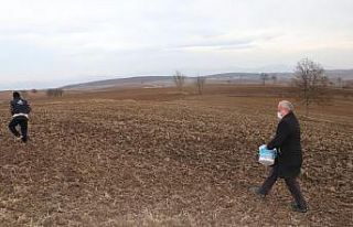 Havza Belediyesi’nden ata tohum ekimi