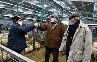 Hayvan pazarında üreticilerin yüzü gülüyor