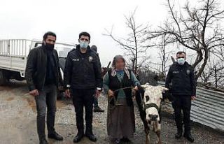 Hayvanı çalınan teyzenin yüzünü polis güldürdü