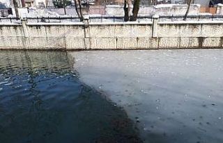 Hendek ilçesindeki Uludere Çayı buz tuttu