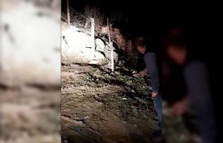 Her akşam evinin bahçesine ziyaretine gelen tilkiyi...