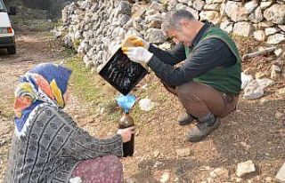 Her derde şifa katran yağı yok satıyor