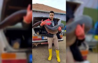 Hirfanlı barajında 25 kiloluk sazan balığı yakalandı