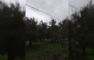 Hırsızlar köyün telefon kablolarını çaldı