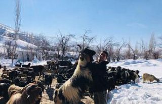 Hizan’da besicilerin zorlu kış mesaisi