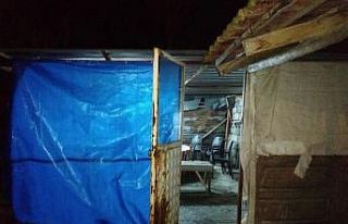 Horoz dövüştüren 6 kişiye 27 bin 380 lira para...