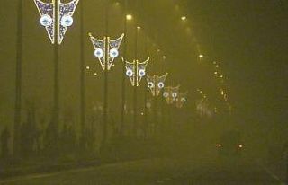 Iğdır-Doğubayazıt karayolunda sis etkili oldu