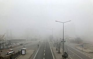 Iğdır yoğun sis altında