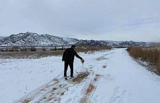 Iğdır’da kar yağışı ve aşırı soğuktan...
