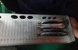 İğneada’da balıkçılar denetlendi