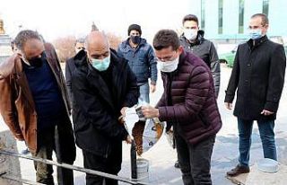 İliç’te sokak hayvanları unutulmadı