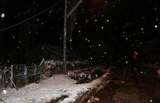 İnekler sulamaya götürülürken yüksek gerilime...