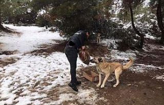 İş insanından örnek davranış