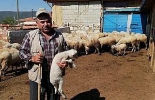 Isparta’da 272 köylüye 7 milyon 134 bin TL Orköy...