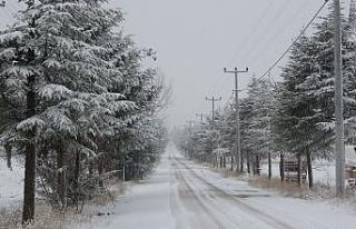 Isparta’da bazı ilçe ve köyler beyaza büründü