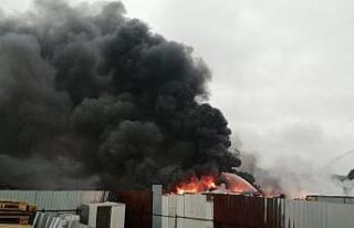 İstanbul Tuzla’da fabrika bahçesinde korkutan...