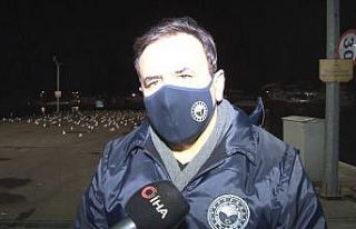 İstanbul’da balık tezgahlarında denetim yapıldı