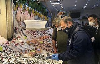 İstanbul’da balık tezgahlarında hamsi boylarına...