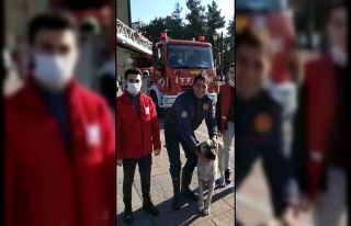 İtfaiye yeni yılın ilk canlısını kurtardı