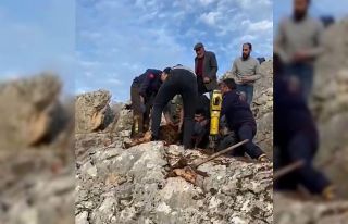 İtfaiyeden ‘kuzu’ operasyonu