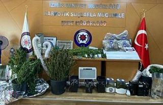 İzmir’de kenevir operasyonu: 10 gözaltı