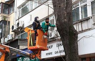 İzmit Belediyesi’nden ağaç budama çalışması