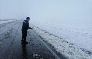 Jandarma ekipleri karla kaplı arazide kuşlara yem...