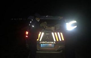 Jandarma ekipleri yol kenarında buldukları ağzı...
