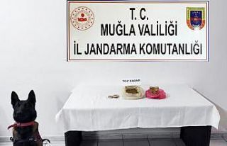 Jandarmadan Bodrum’da uyuşturucu operasyonu