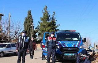 Jandarmadan sokak hayvanlarına şefkat eli