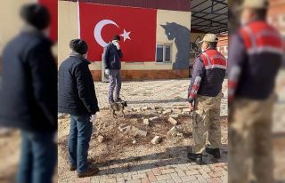 Jandarmanın fark ettiği bacağı kırık köpek...
