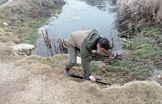 Kaçak avcı ekipleri görünce tüfeğini atıp kaçtı