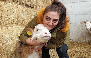 Kadın girişimci FAO projesiyle hayallerine kavuştu