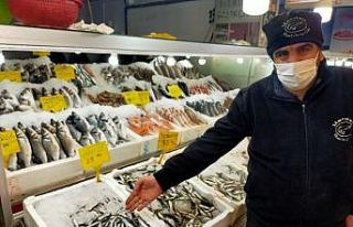 Kahramanmaraş’ta günde bir buçuk ton hamsi tüketiliyor