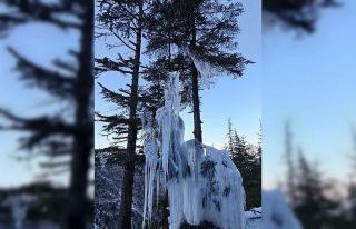 Kahramanmaraş’ta soğuktan ağaç buz tuttu