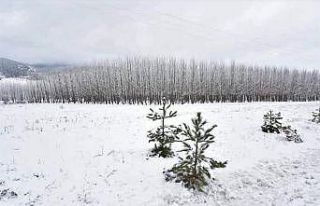 Kahramanmaraş’ta yılın ilk karı yağdı