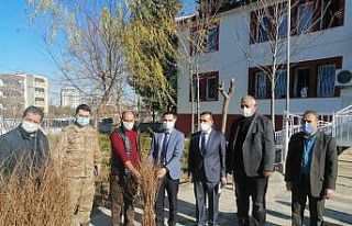 Kahta ilçesinde nar fidanları dağıtıldı