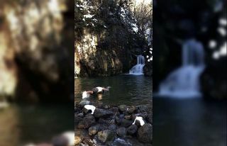 Kahvesini yudumlayıp buz gibi suya atladı