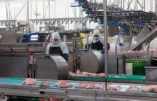 Kanatlı sektörü salgının izlerini silmeye çalışıyor